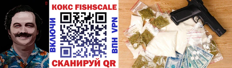 блэк спрут ССЫЛКА  Сегежа  Cocaine FishScale  как найти наркотики 