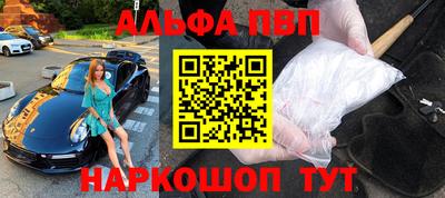 амф Кингисепп