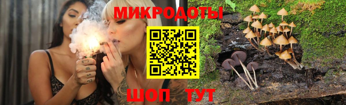 Псилоцибиновые грибы прущие грибы  Вход с VPN  Сегежа 