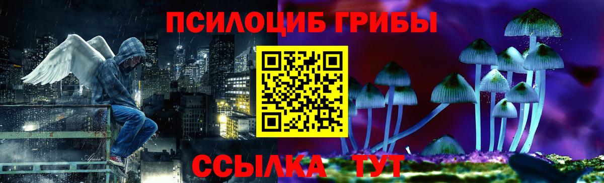 Галлюциногенные грибы Psilocybe Сегежа